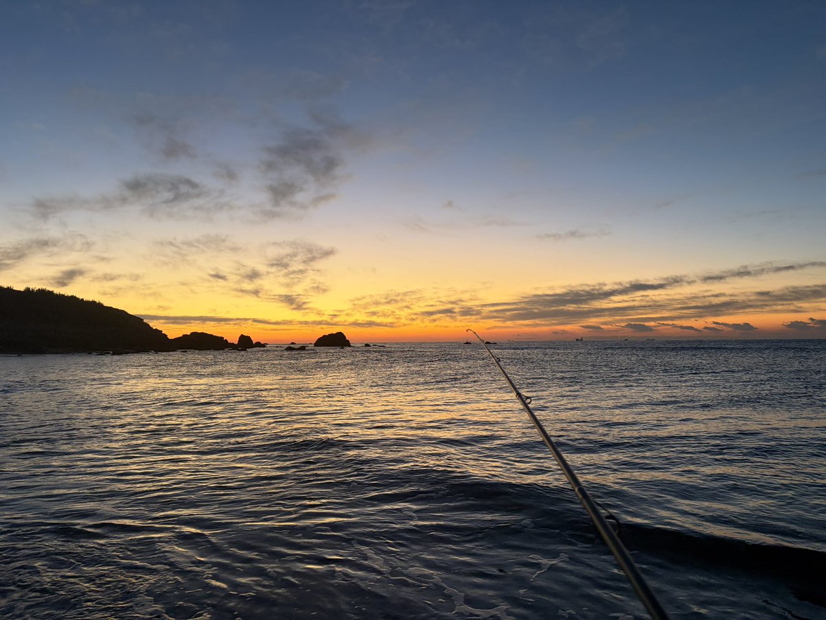 帝国重装歩兵 tweet media