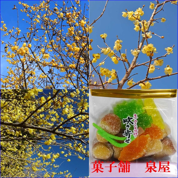 kasihoizumiya's tweet photo. おはようございます
１月１０日（土曜日）です。
本日もよろしくお願いいたします。

今朝は晴れです。
午後からも一日中の晴れの予報です。

現在の外気温２℃です。
最高気温は１８℃の予報です
午後から気温が上がります。

当店は、
定刻のAM９時３０分の開店です。
ご来店をお待ちしています https://t.co/vBhR3n061K