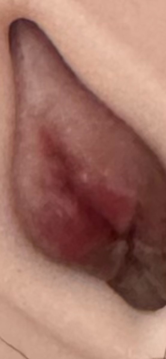 福音（操你妈学校） tweet media