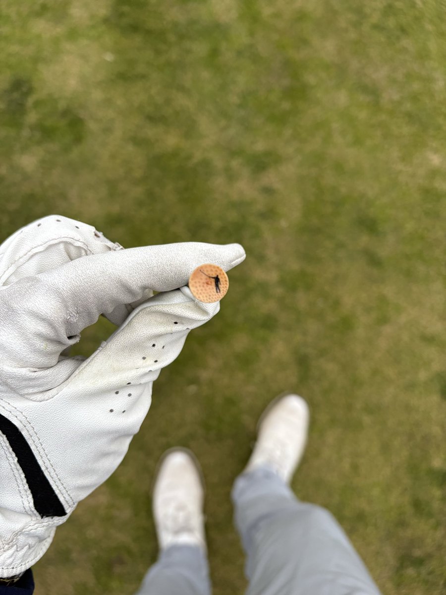 pushdraws's tweet image. Tee of the day @NoLayingUp