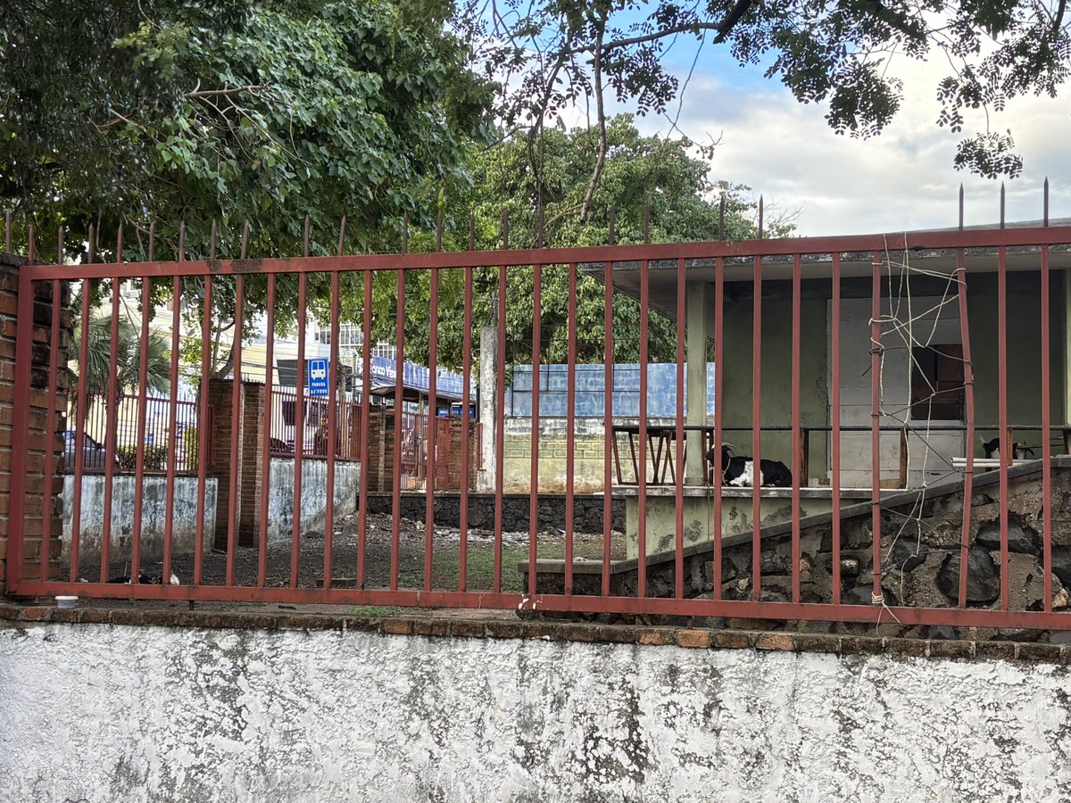 No entiendo como permiten viviendas, o serán corrales? en este estado, en pleno centro de la ciudad 😕.