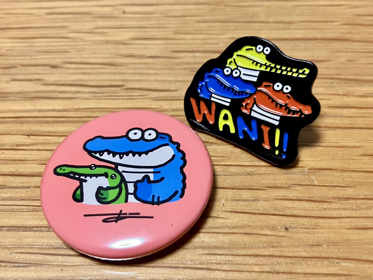 おはわに〜☀️🐊 昨日ちょっと寄り道して…雨宮ひかるさんのワニグッズ