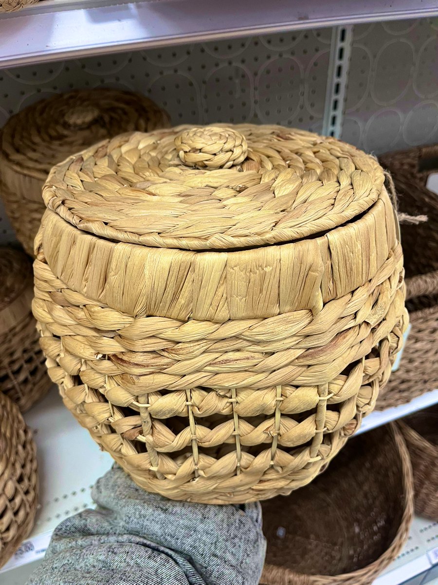 highimcells's tweet image. Saw this at Target. Only people who REALLY play Arc Raiders know which event this reminds them of. 🍑🍋🫒🍄‍🟫