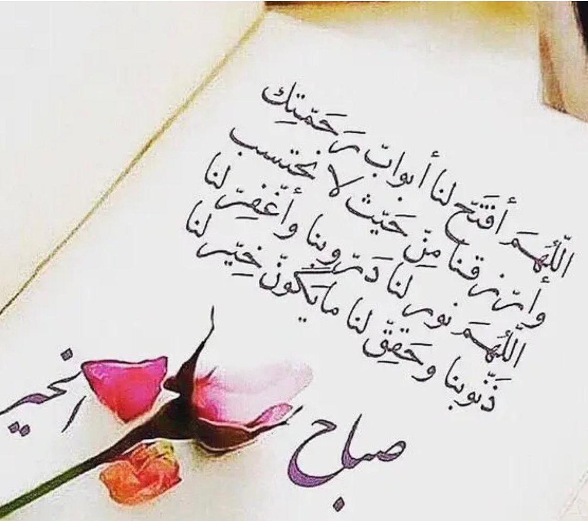 #اسقاط_القروض_لليوم_2531 
#القرض_الحسن_٢١_الضعف 
#صباح_الخير