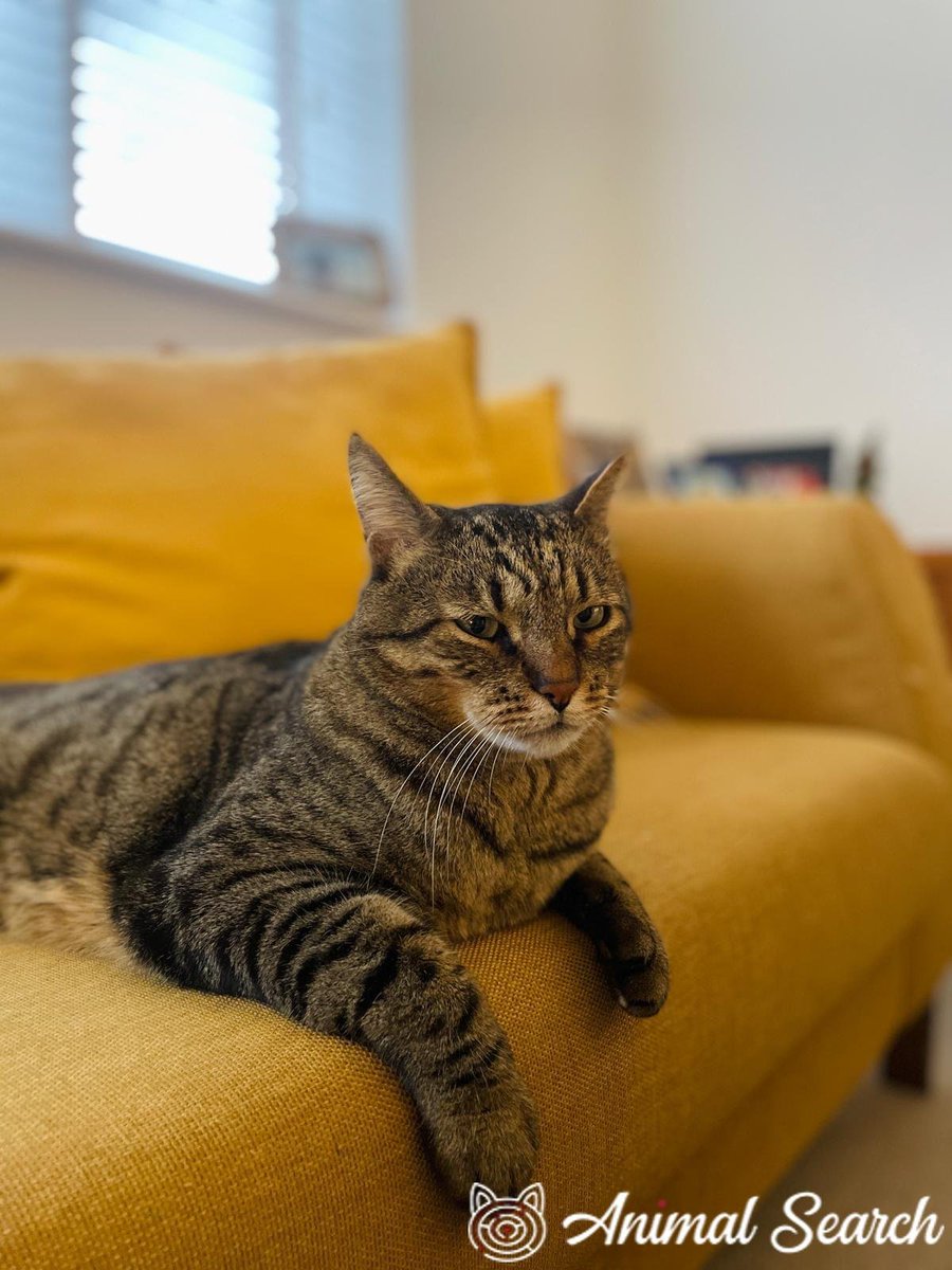 Paw Prints Left tweet media