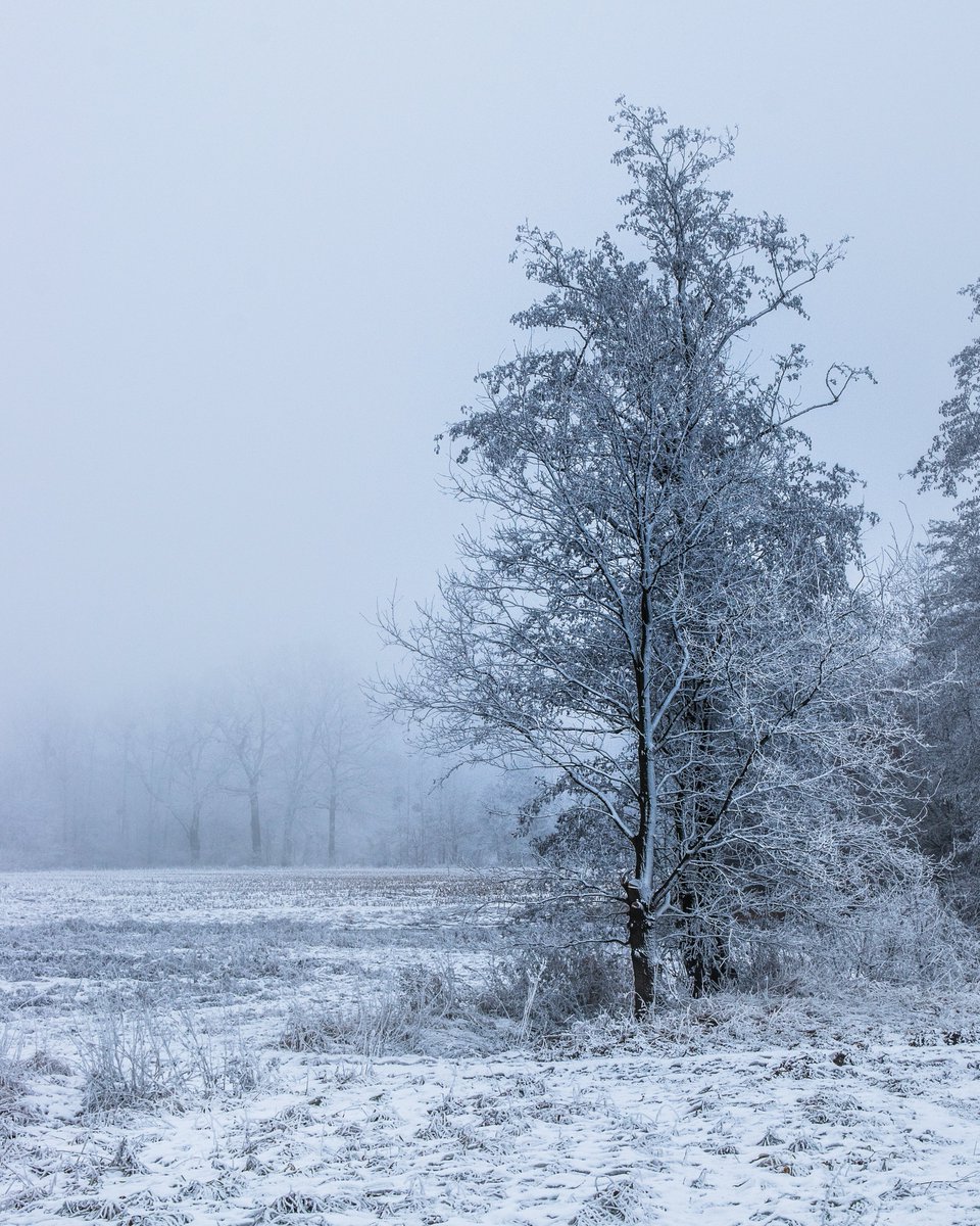 Enjoy your day and weekend, everyone!🤍
#photography