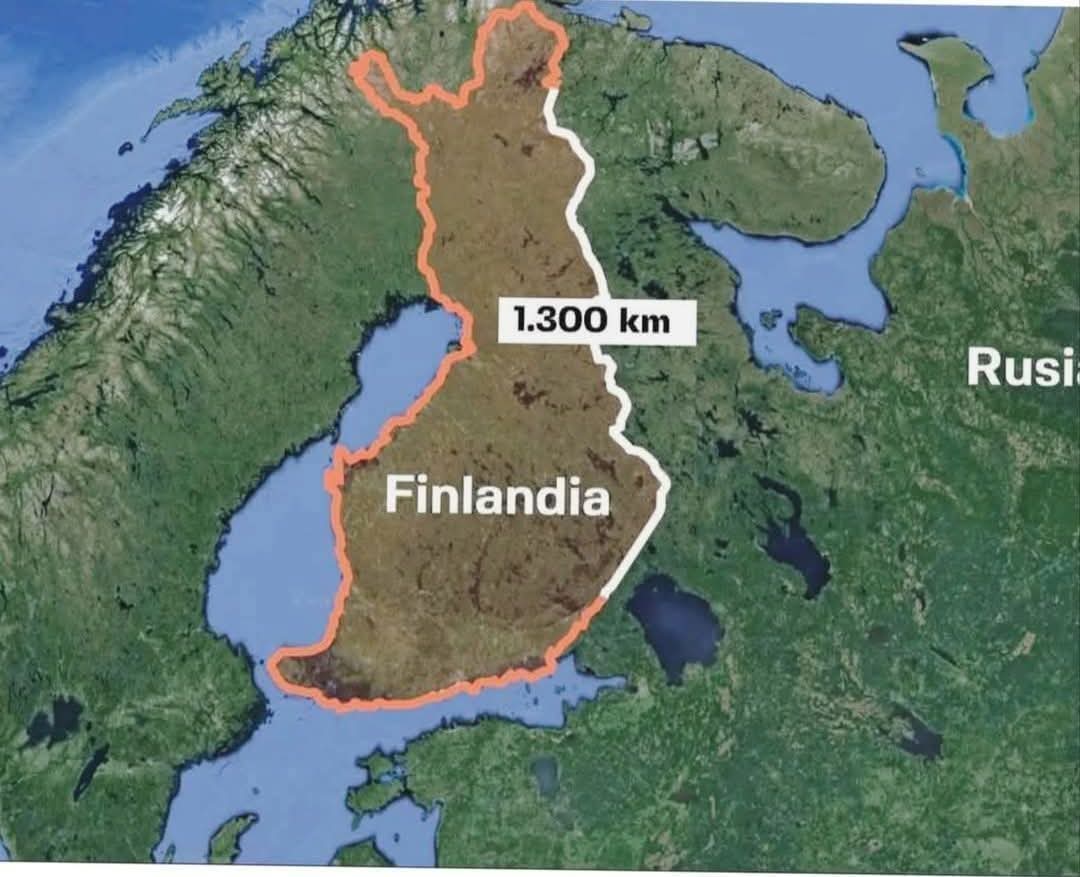 En Finlandia, a diferencia de otras culturas europeas, no existe una tradición de conversación trivial o "small talk". En este país, no solo no se fomenta este tipo de interacción, sino que ni siquiera hay un concepto de ello en el idioma finlandés.

Muchos niños finlandeses, al
