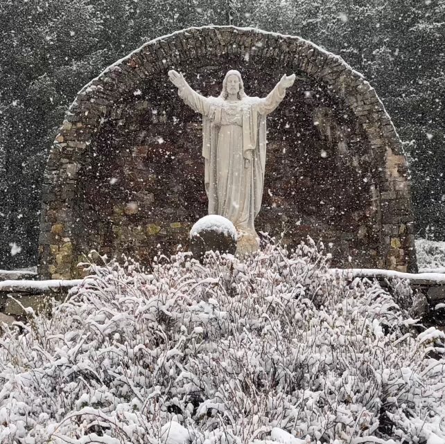 Buddy (@buddyrosetaylor) on Twitter photo 