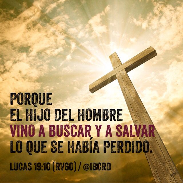 ℬ𝓇𝓊𝒸ℯ 🇨🇷🇮🇱🇯🇵 tweet media