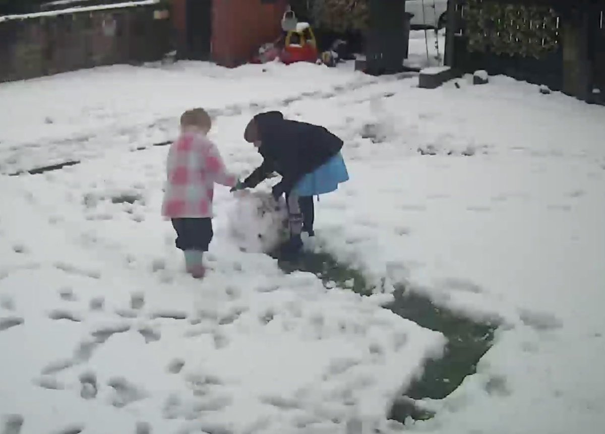 Sarah ellis tweet media