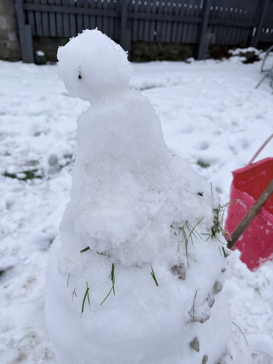 Sarah ellis tweet media