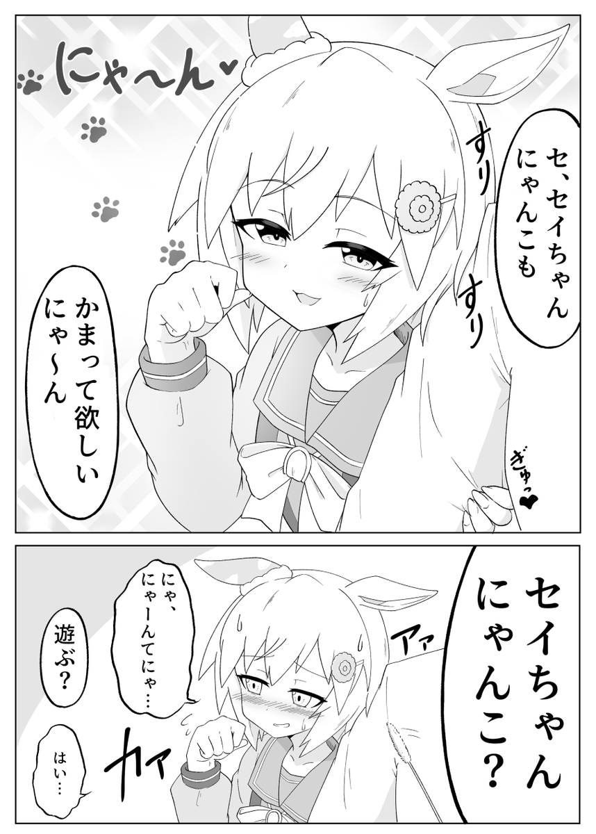 セイちゃんにゃんこ 