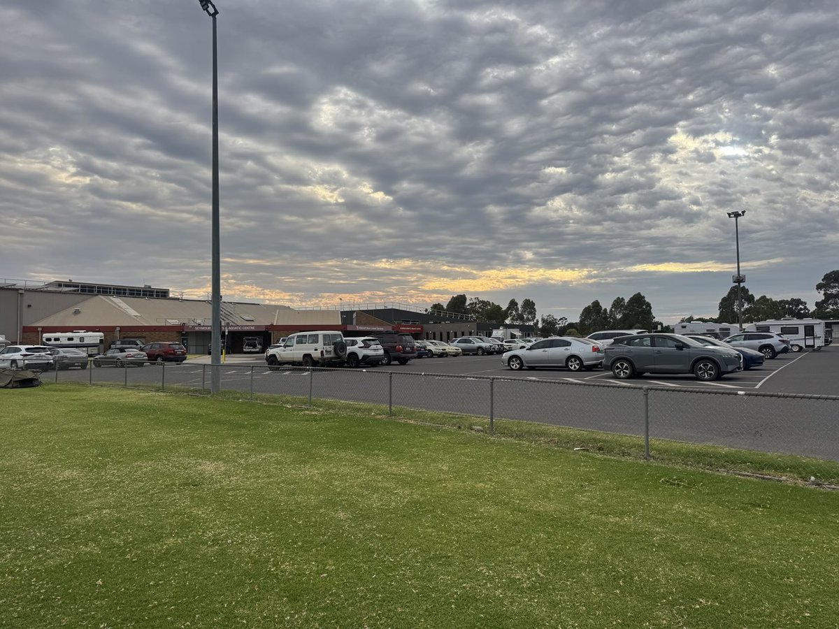 Stephanie Ferrier tweet media