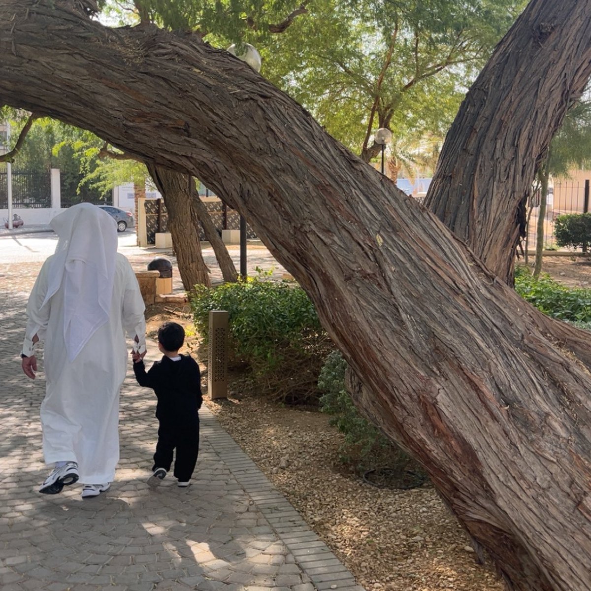 1994HNON's tweet photo. إن جاء فالأفراح غيثٌ هاطلُ
سبحان ربّي، أيّ قلبٍ يحملُ؟
ظلُّ السعادةِ في ظلالِ حنانهِ
هذا أبي، هذا الحبيبُ الأوّلُ https://t.co/dbOLTpha77