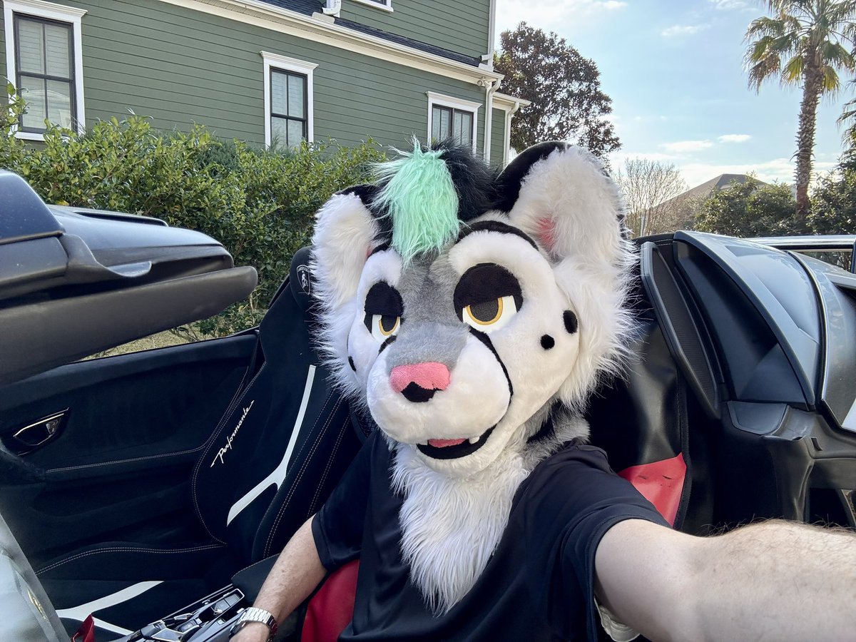 SpeedySnep tweet media