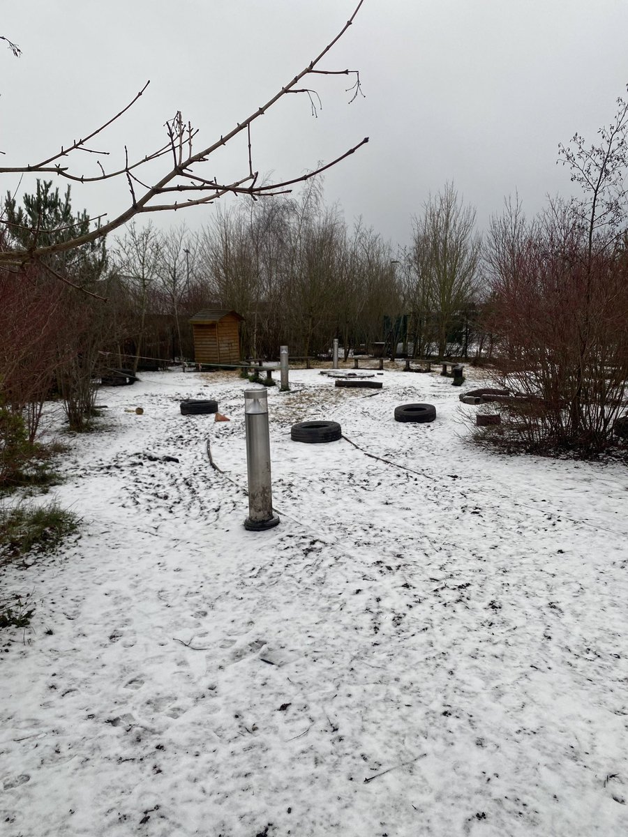 Flynn In The Forest tweet media