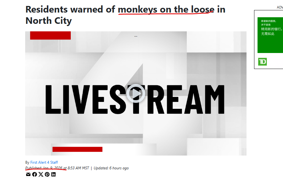 VenomnymouS tweet media