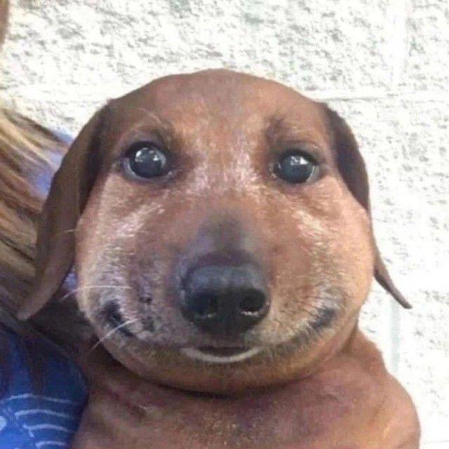 JustCapitalB_'s tweet image. They notice me