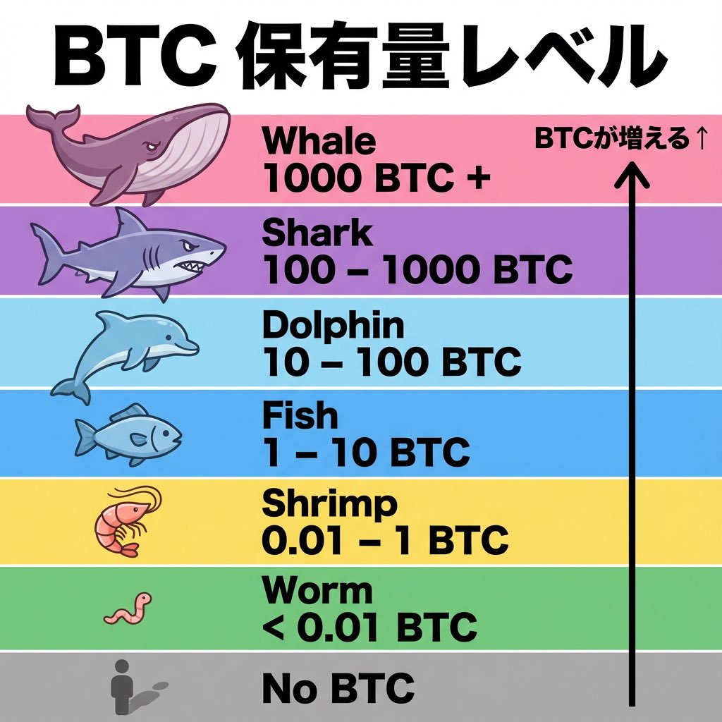 BTC保有量レベル⚔️ 私はShrimp🦐🦐