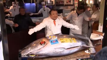 بسعر قياسي بلغ 3.2 مليون دولار.. بيع سمكة تونة زرقاء الزعانف في اليابان 