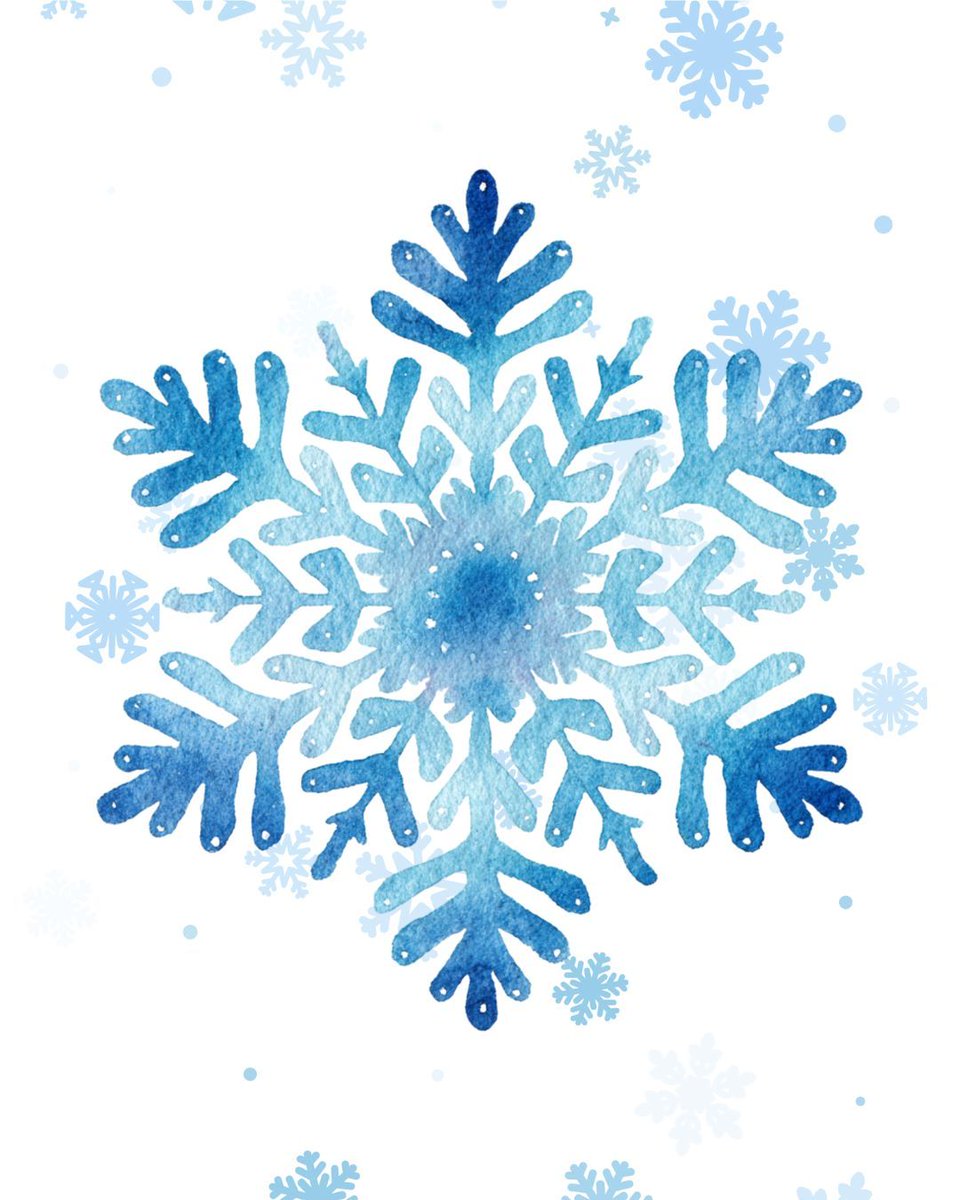 MrsLibraryLady tweet media