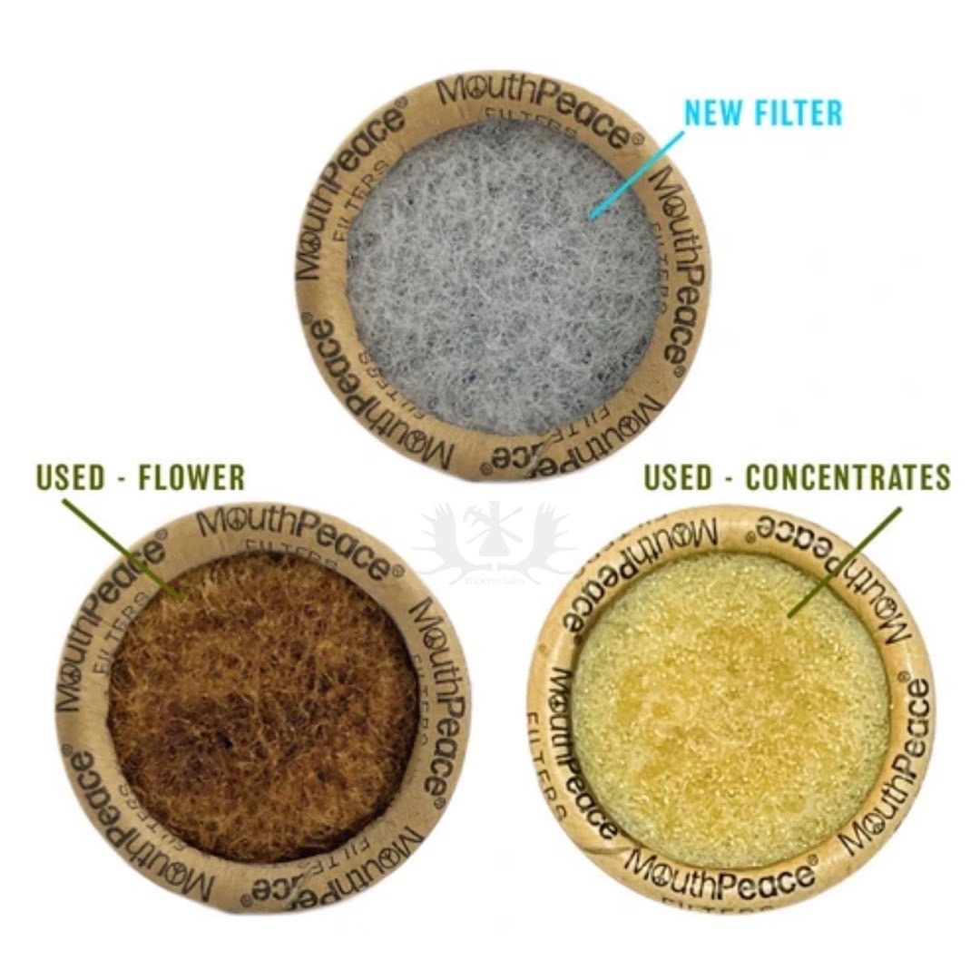 Moose Labs LLC tweet media