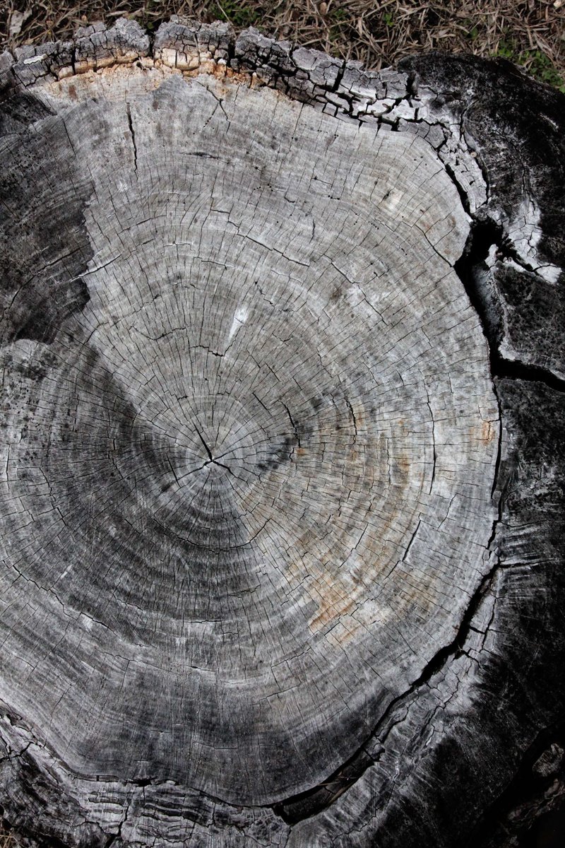 SwRI's tweet image. Another year, another opportunity for growth. If you are still plugging away at your New Year’s resolutions, congratulations! Today is known as “quitters’ day” because most people ditch their resolutions by the second Friday in January. #NewYearsResolutions #QuittersDay