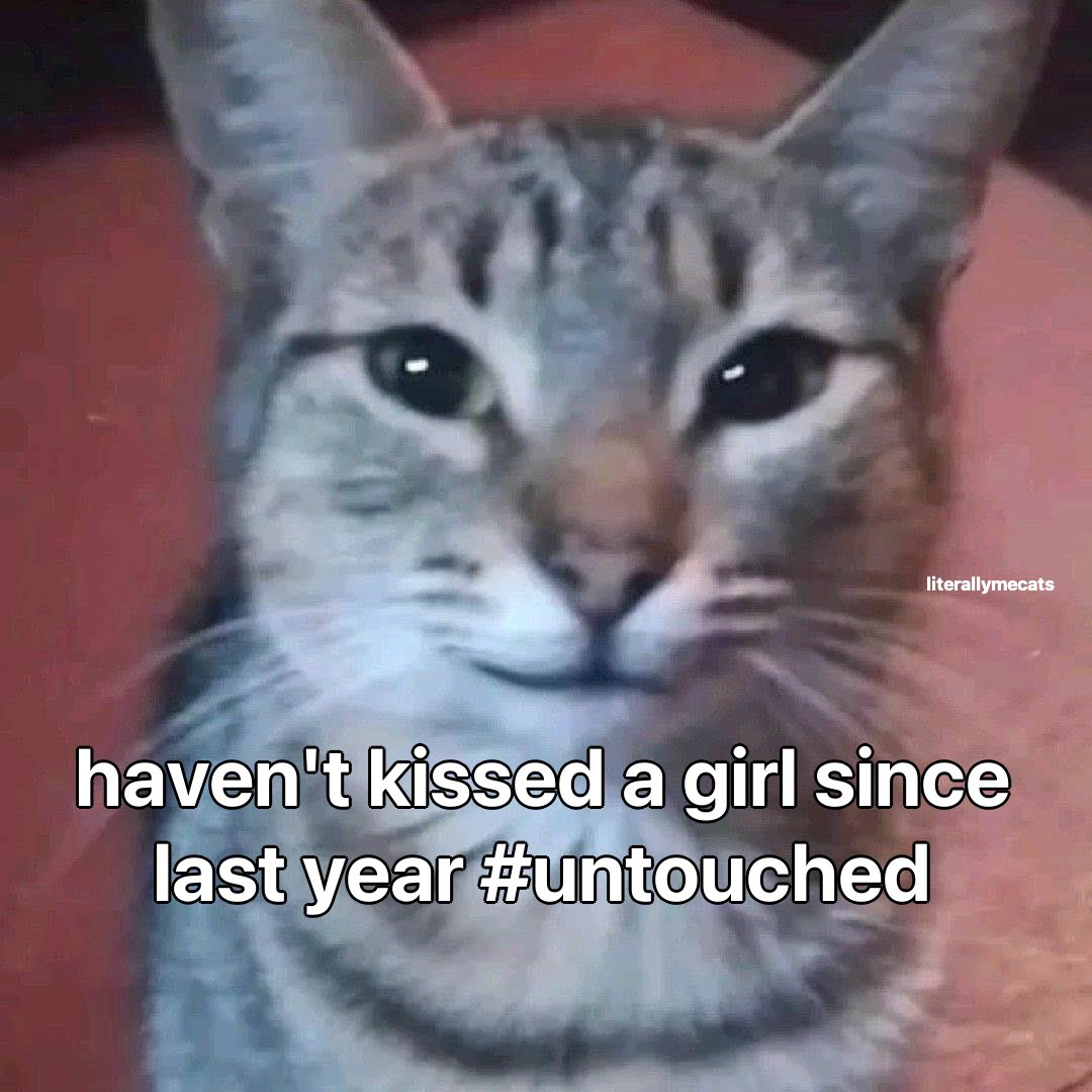 literallymecats's tweet image. 