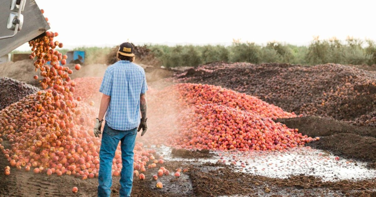 The Ugly Co. tweet media