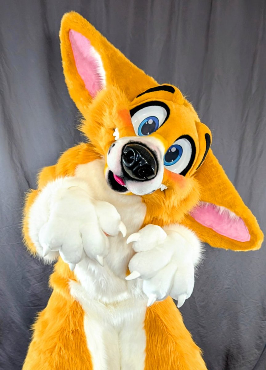 More Fur Less tweet media