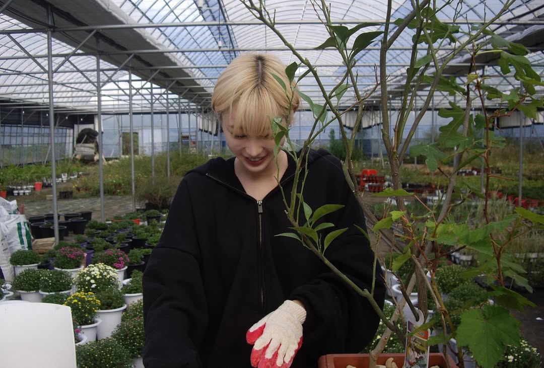 aeripcs's tweet image. 📸