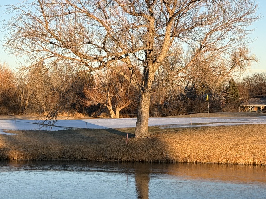 Aurora Golf tweet media
