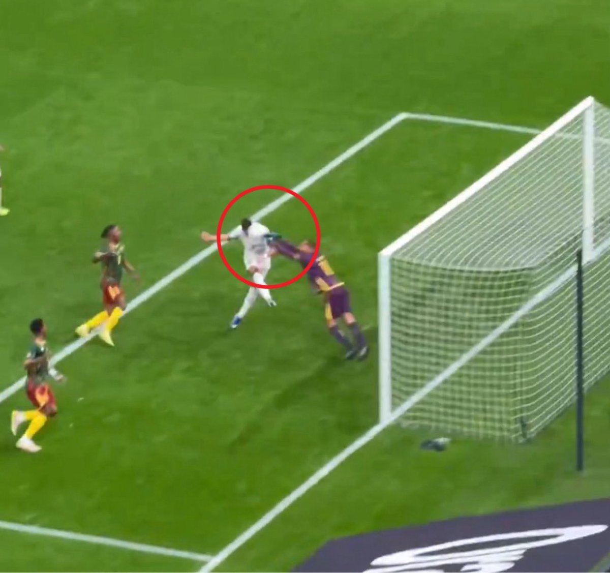 Amghar ⵣ 🇧🇪 tweet media