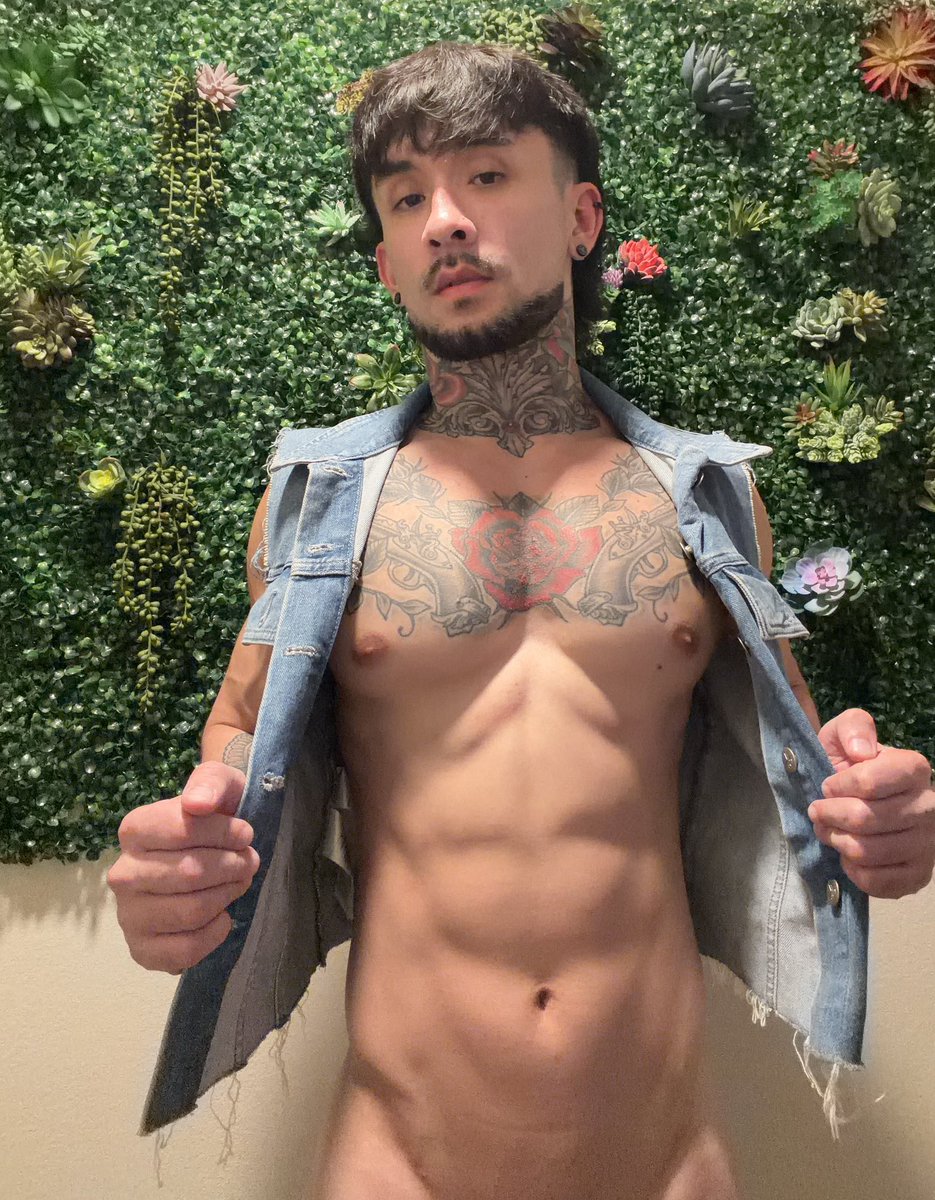 David🐉 tweet media