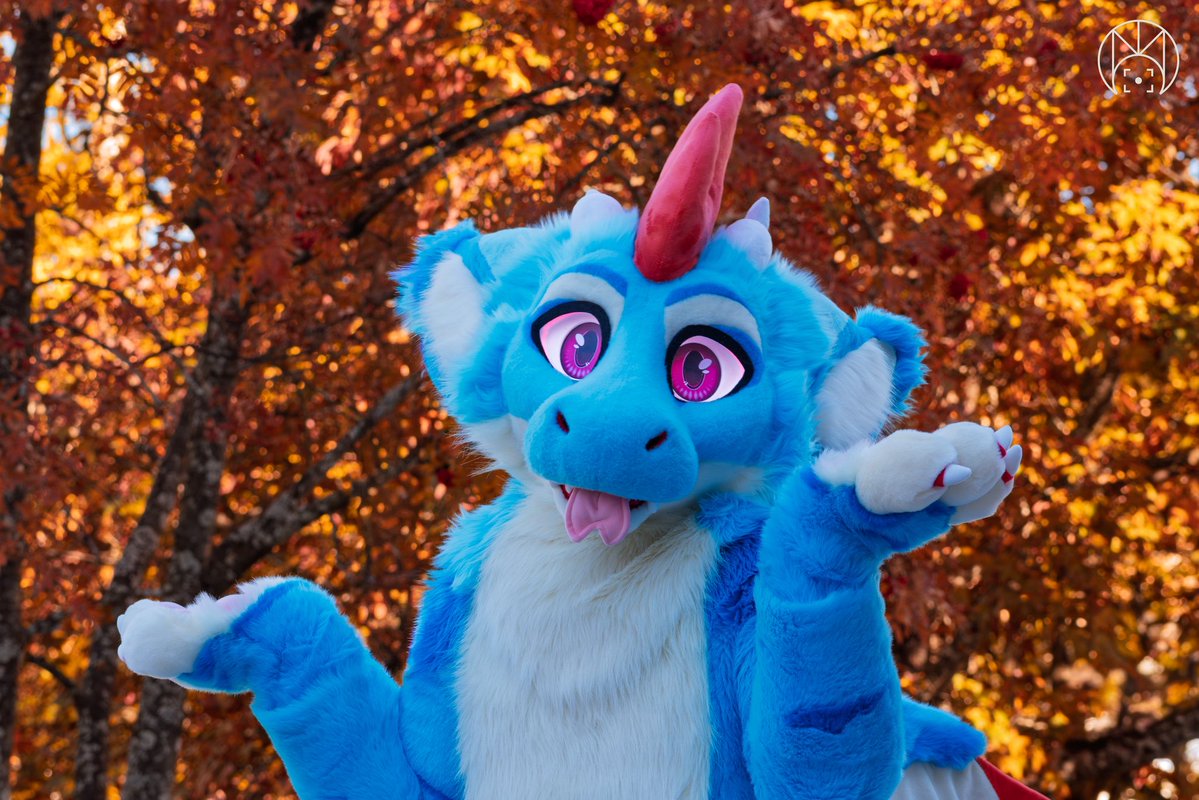 MaverickTheHusk's tweet image. What’s better these ears?
Is it a brain..?
No!
Just floof, no brain! 
#FursuitFriday 

✂️Fursuit Maker.: @StuffedTailsFur 
📸Photo by.: @MontagutiLuca 
📍Con location.: @FurizonEvents