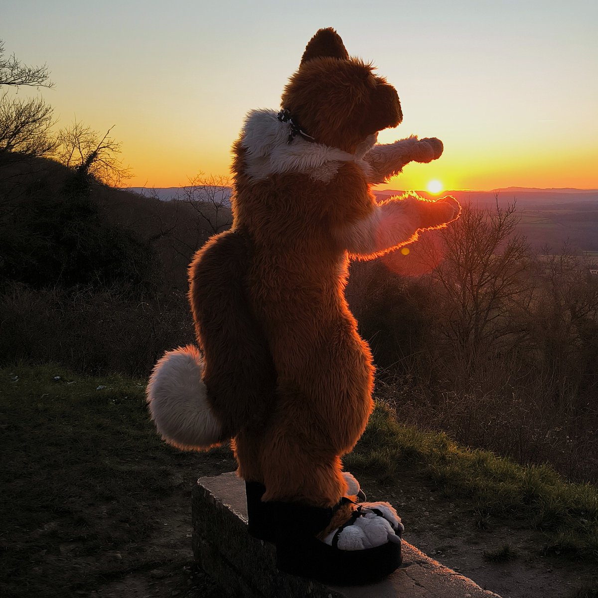 🐈🐶I try to catch the sun!!!🐾😋

📸 : <a href="/Derriaxa/">GL Derriaxa</a> 
🧵: <a href="/Nayru_fur/">nayru</a>