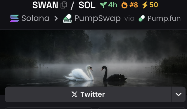 redsimba06's tweet image. 👀👀👀
$SWAN!