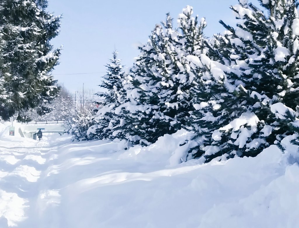 雪まみれです☃️☃️
もう雪かきしたくないよぉー😅
おはようございます
よき週末を❄️