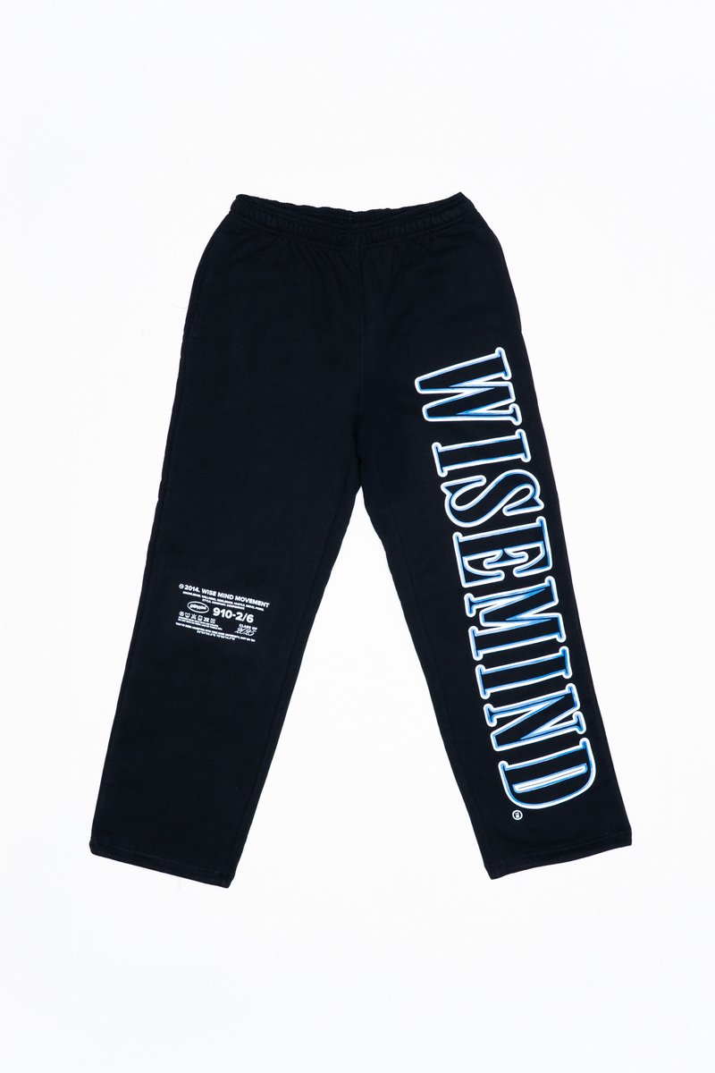 Wise Mind Movement tweet media