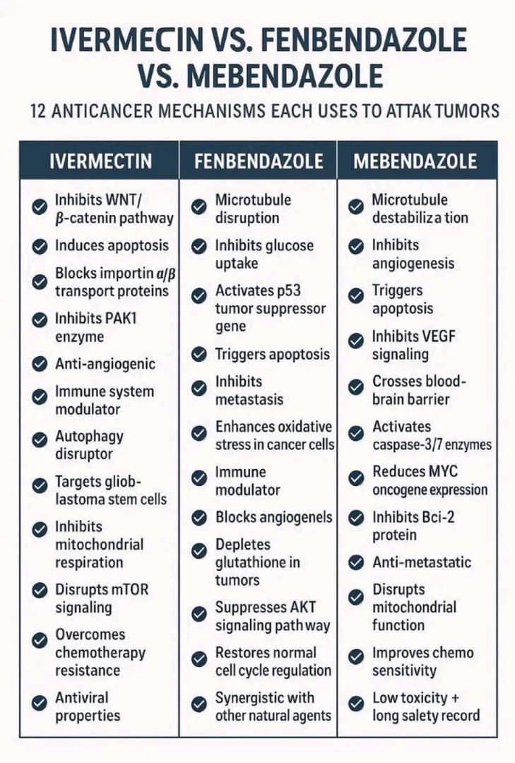 Fa21519230's tweet image. 🚨🚨 Ivermectina vs. Fenbendazol vs. Mebendazol:
12 potentes mecanismos anti cancerígenos que cada uno de estos fármacos antiparasitarios utiliza para atacar tumores...
Estos medicamentos reutilizados se diseñaron originalmente para combatir parásitos, pero la investigación y el…