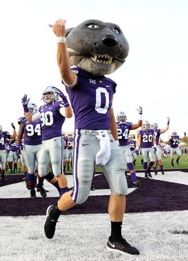 TristanWillis tweet media