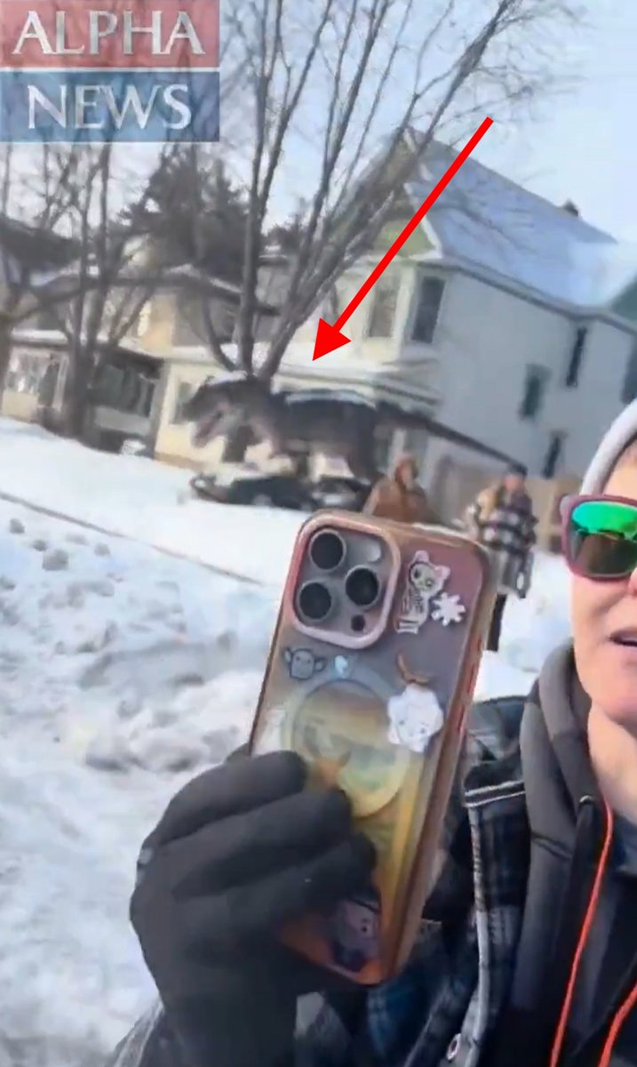 Forget about ICE trying to kill you, we should more concerned about the Dinosaurs