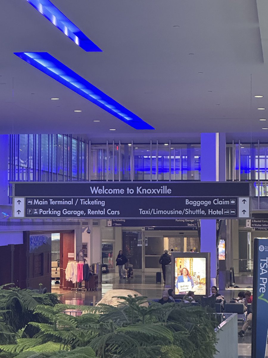 Lane_Kiffin's tweet image. 