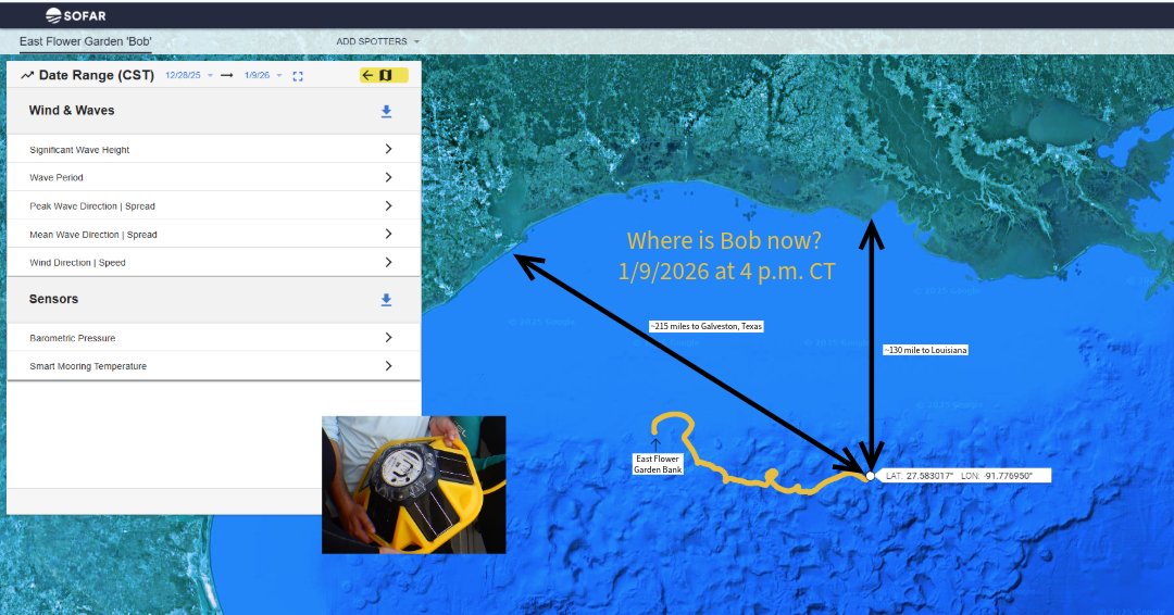 NOAA's Flower Garden Banks Natl Marine Sanctuary tweet media