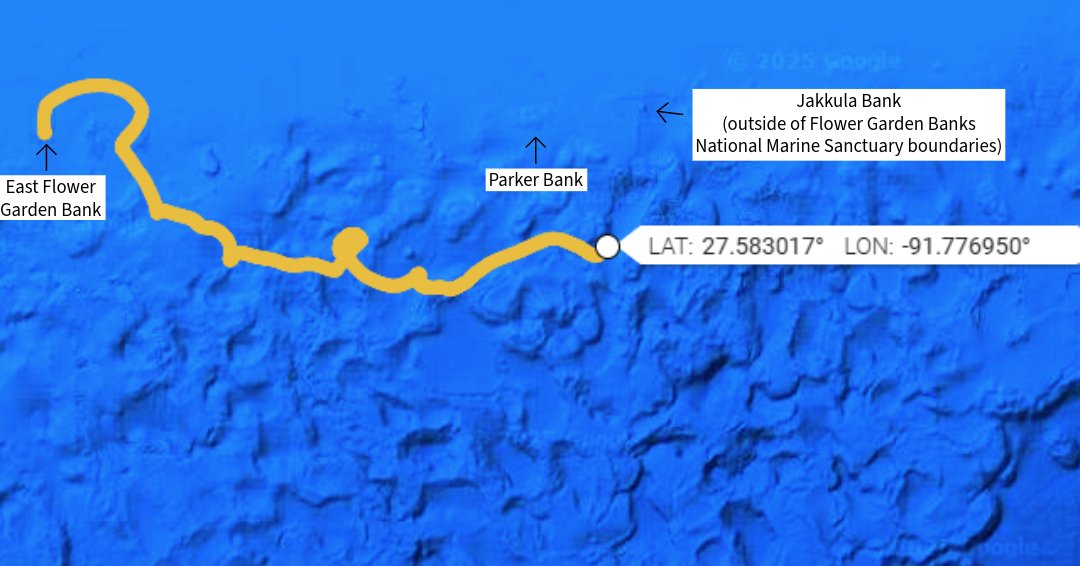 NOAA's Flower Garden Banks Natl Marine Sanctuary tweet media