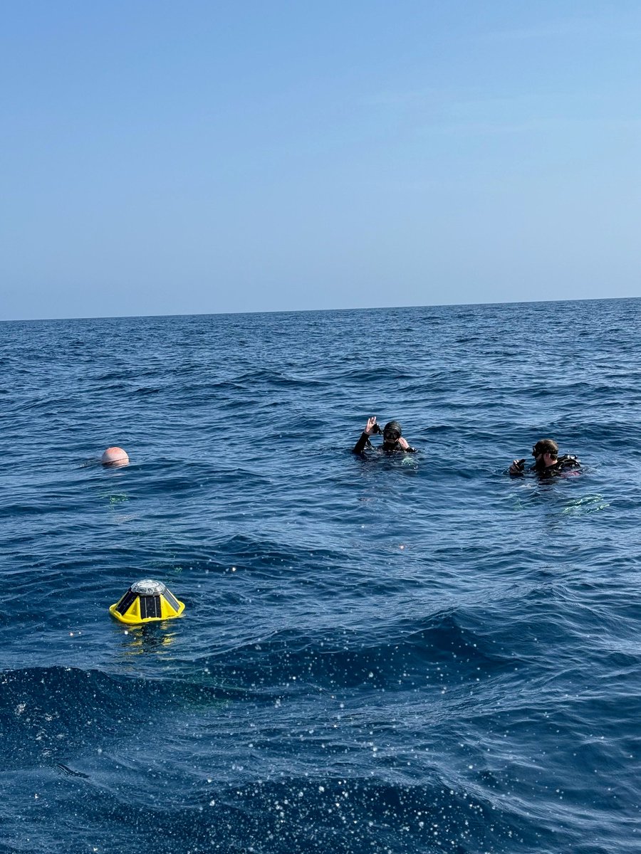 NOAA's Flower Garden Banks Natl Marine Sanctuary tweet media