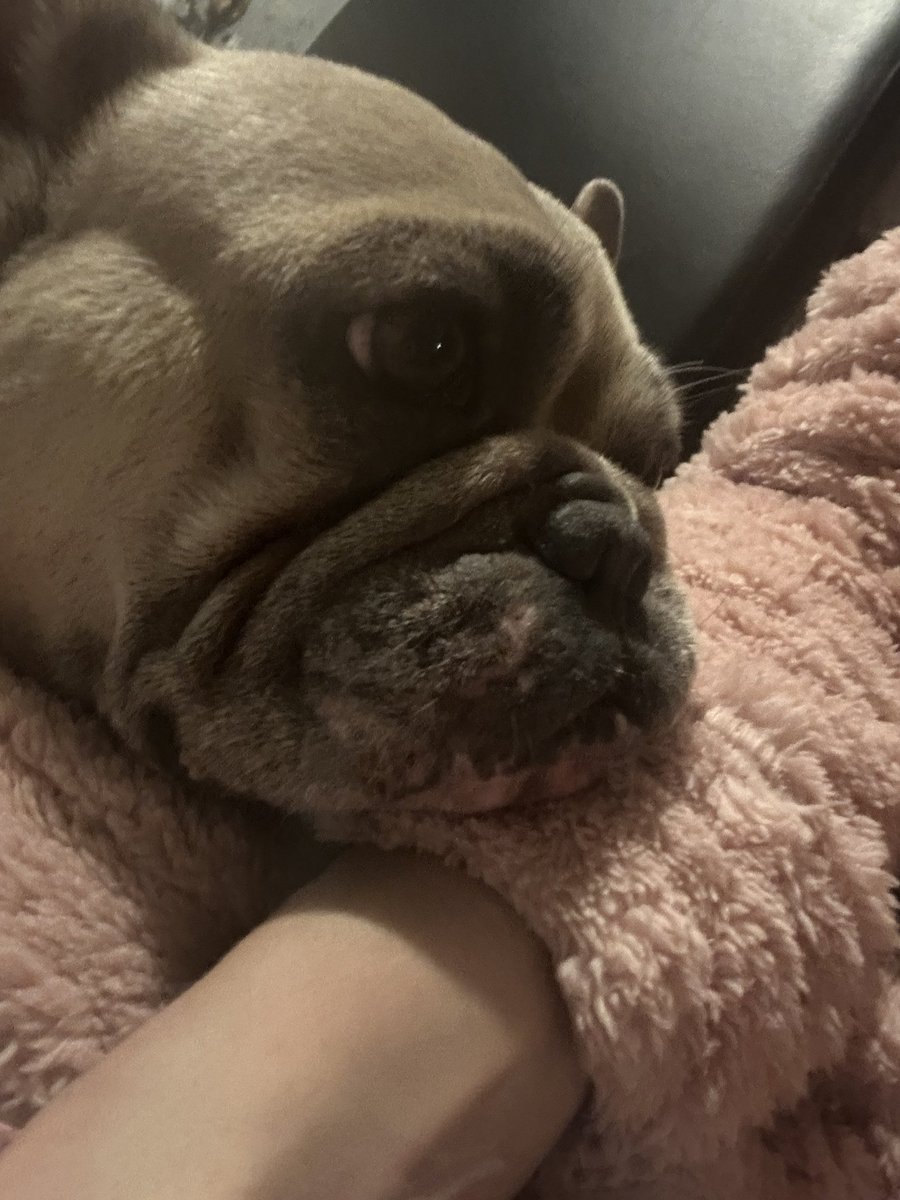 coco_th's tweet photo. The best head rest in the house is always my lady’s arm! 💖🫶🏻💖 #FridayVibe https://t.co/knlxRYOpjK