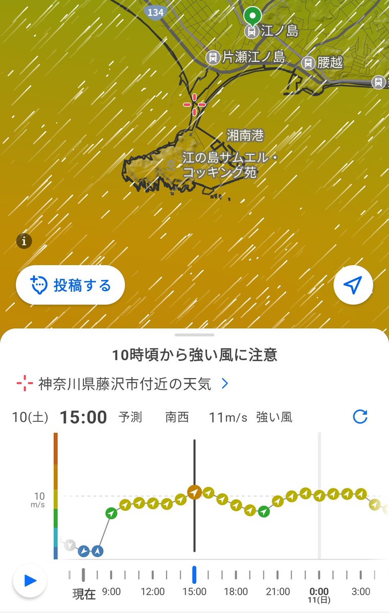 どうせ今日は風で何もできないと思いますが、もしかするとショーができてしまうかもしれないので一先ず向かいます！
がっ！きっと無理だと思います！