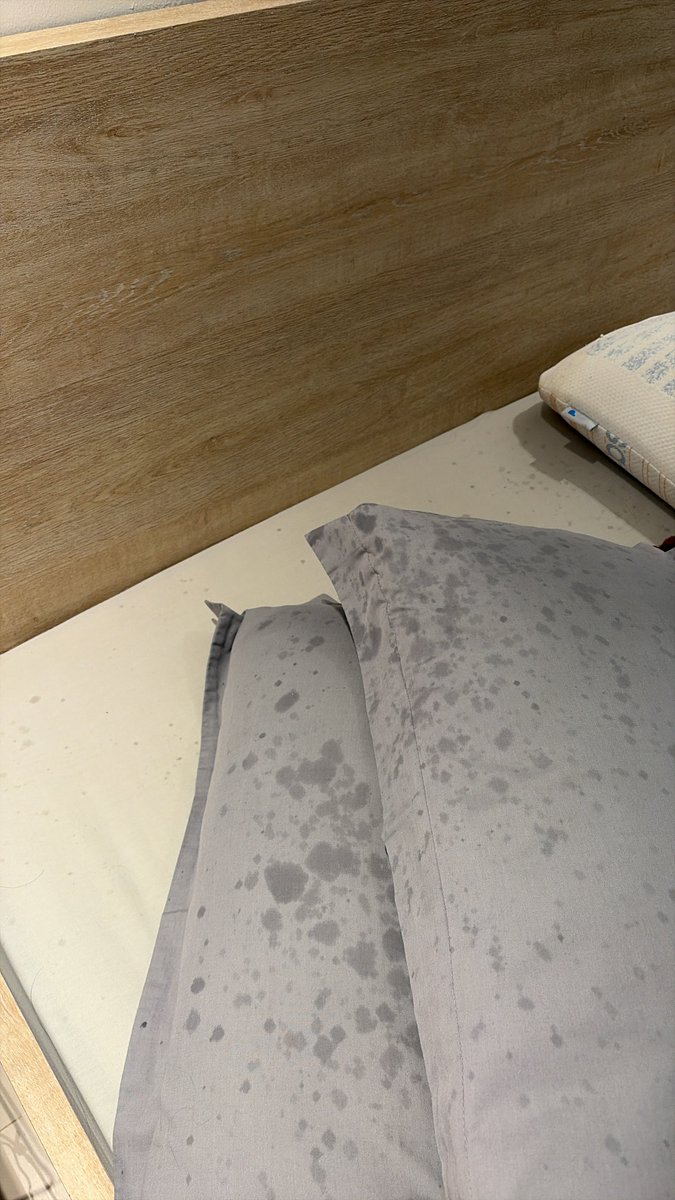 nocturnalcutie's tweet image. sblm tidur "ya Allah bangunin sblm adzan yaa"

dibanguninnya pake ac tb tb nyiprat wkwkwk bangunnya kaget bgt tinggal sendiri kok ada yg nyiram air astagfirullah😭