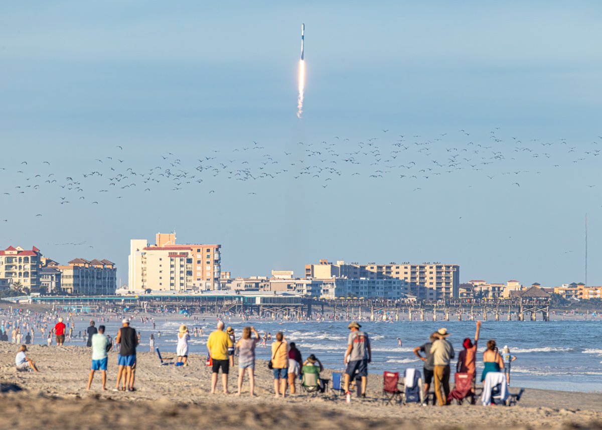 Michael Seeley tweet media